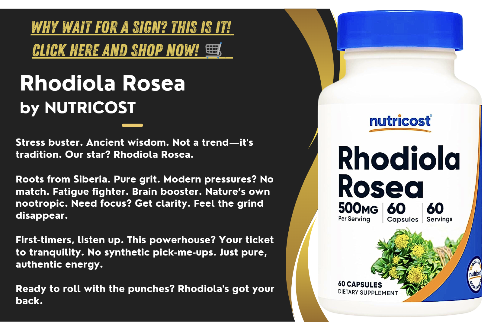 Perfect Rhodiola Rejuvenate Your Health with Rhodiola | Rapidly Ripped